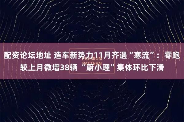 配资论坛地址 造车新势力11月齐遇“寒流”：零跑较上月微增38辆 “蔚小理”集体环比下滑